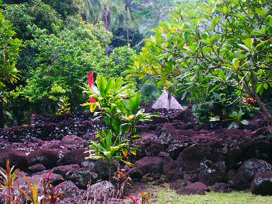 Les terrasses  de pierres forment le Marae